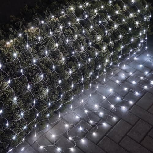 Net-style lights over a shrub at night