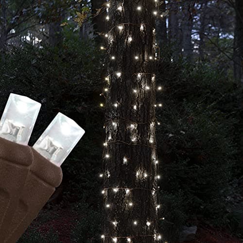 A net of small LED lights, the format used to wrap a tree trunk