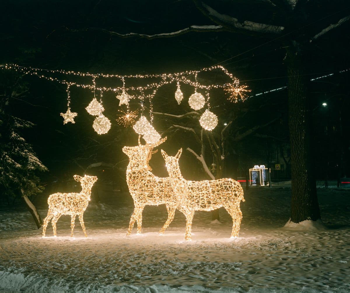 Illuminated deer figures lit at night in a winter garden