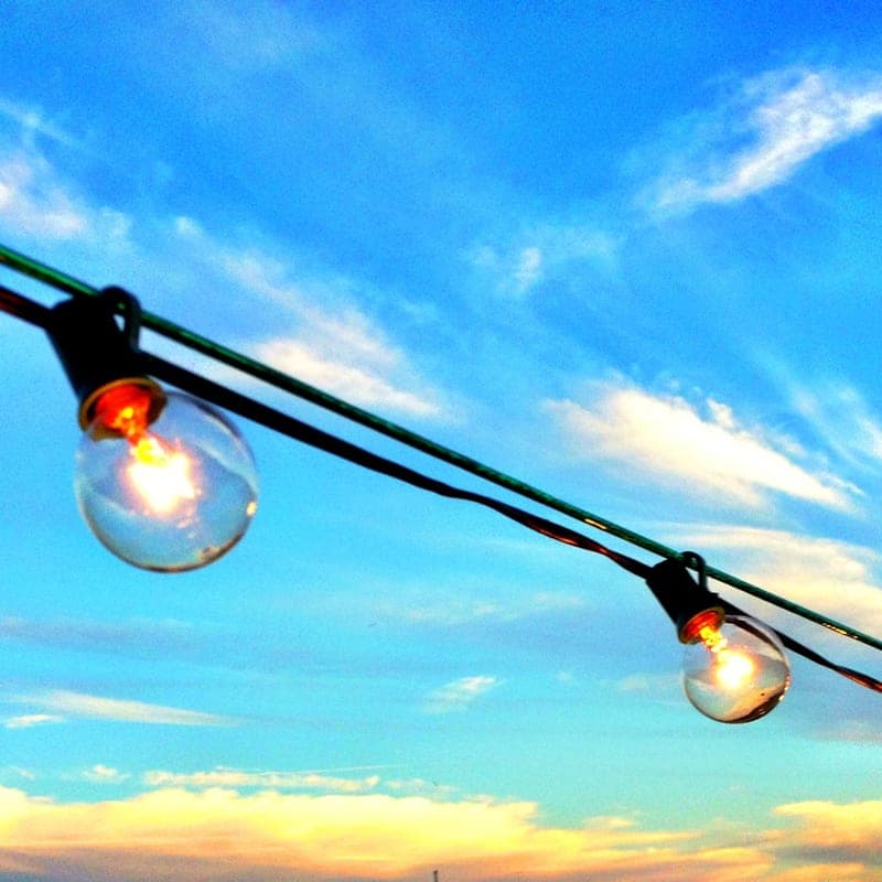 Small LED mini lights on a green wire, the format used for wrapping trees