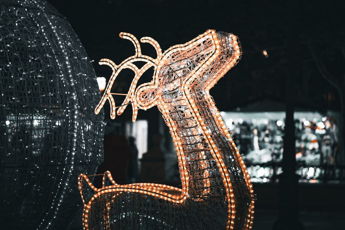 A lit wire-frame deer decoration of the kind this pick uses