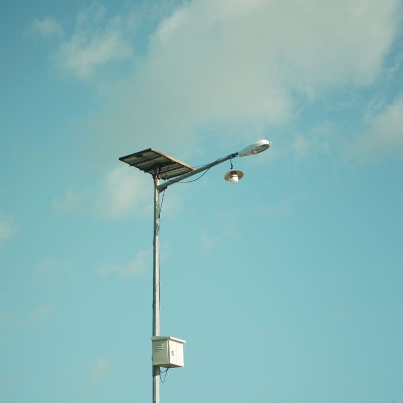 Solar-powered garden lights in a yard