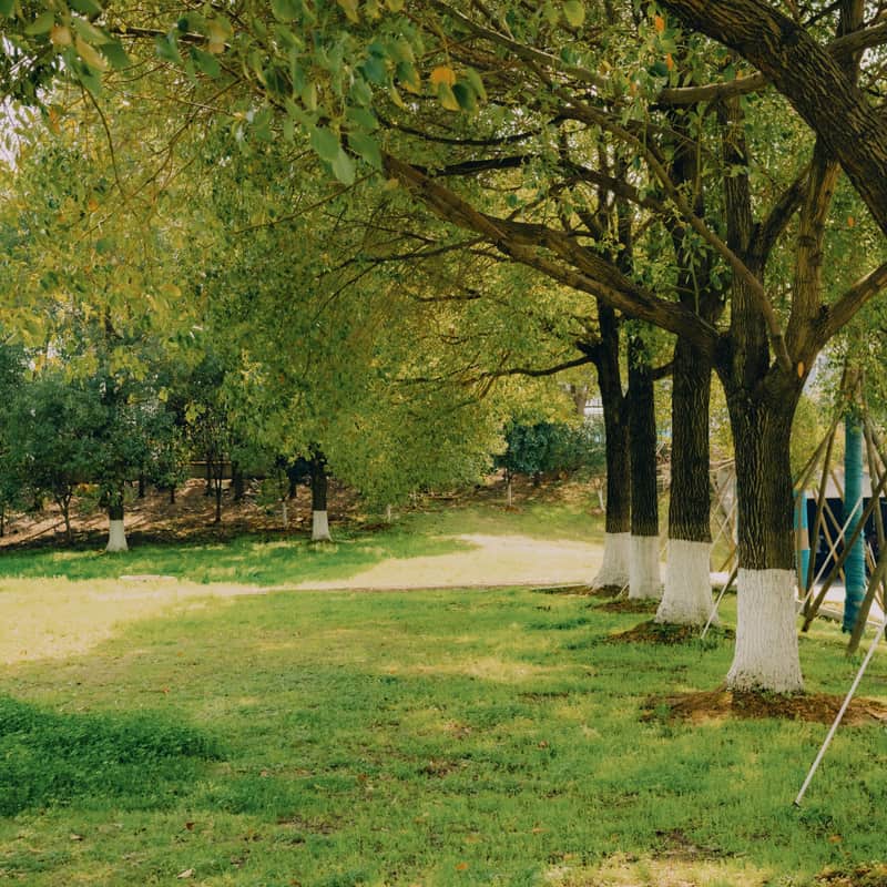 Lit stake markers lining a garden path at night